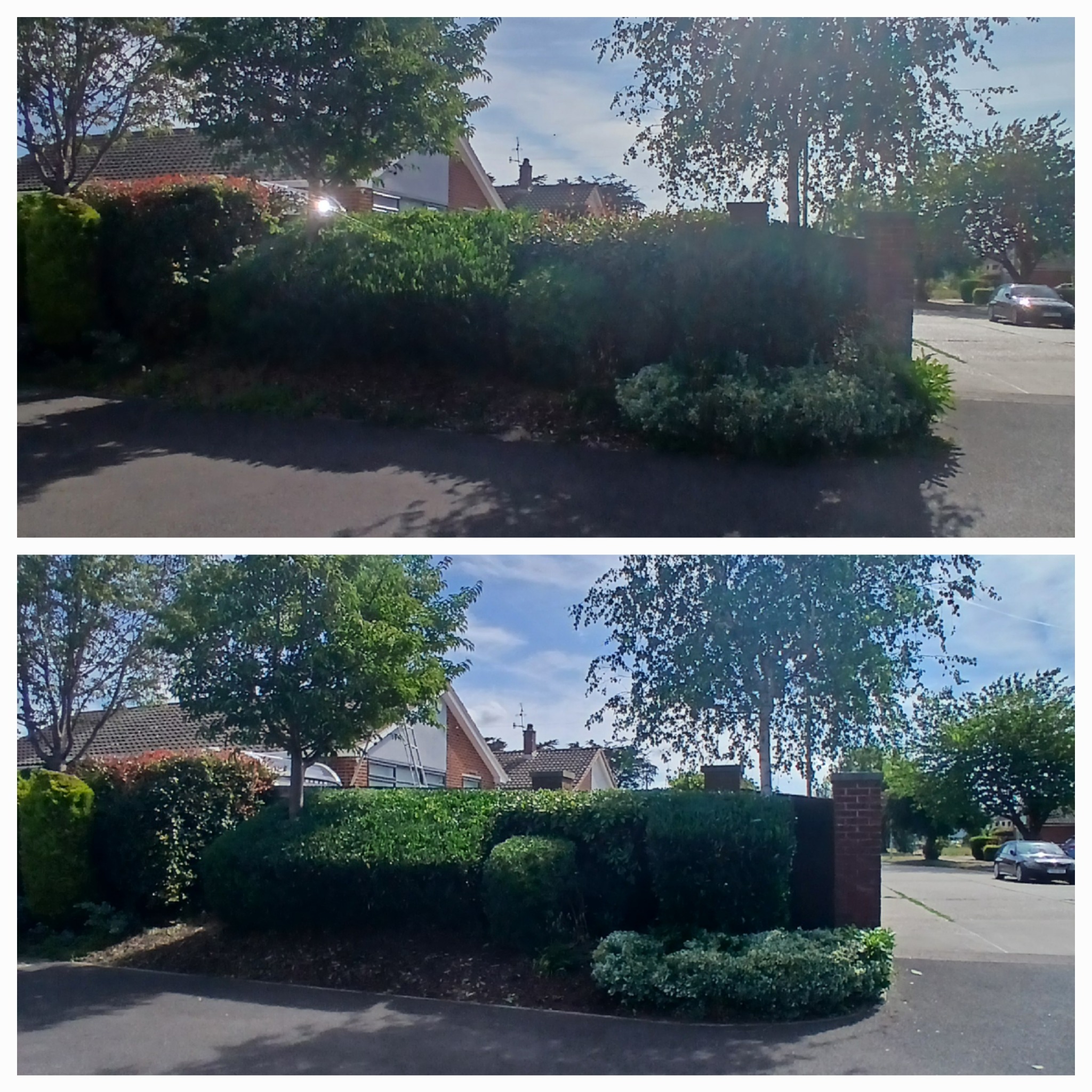 Before and after garden work