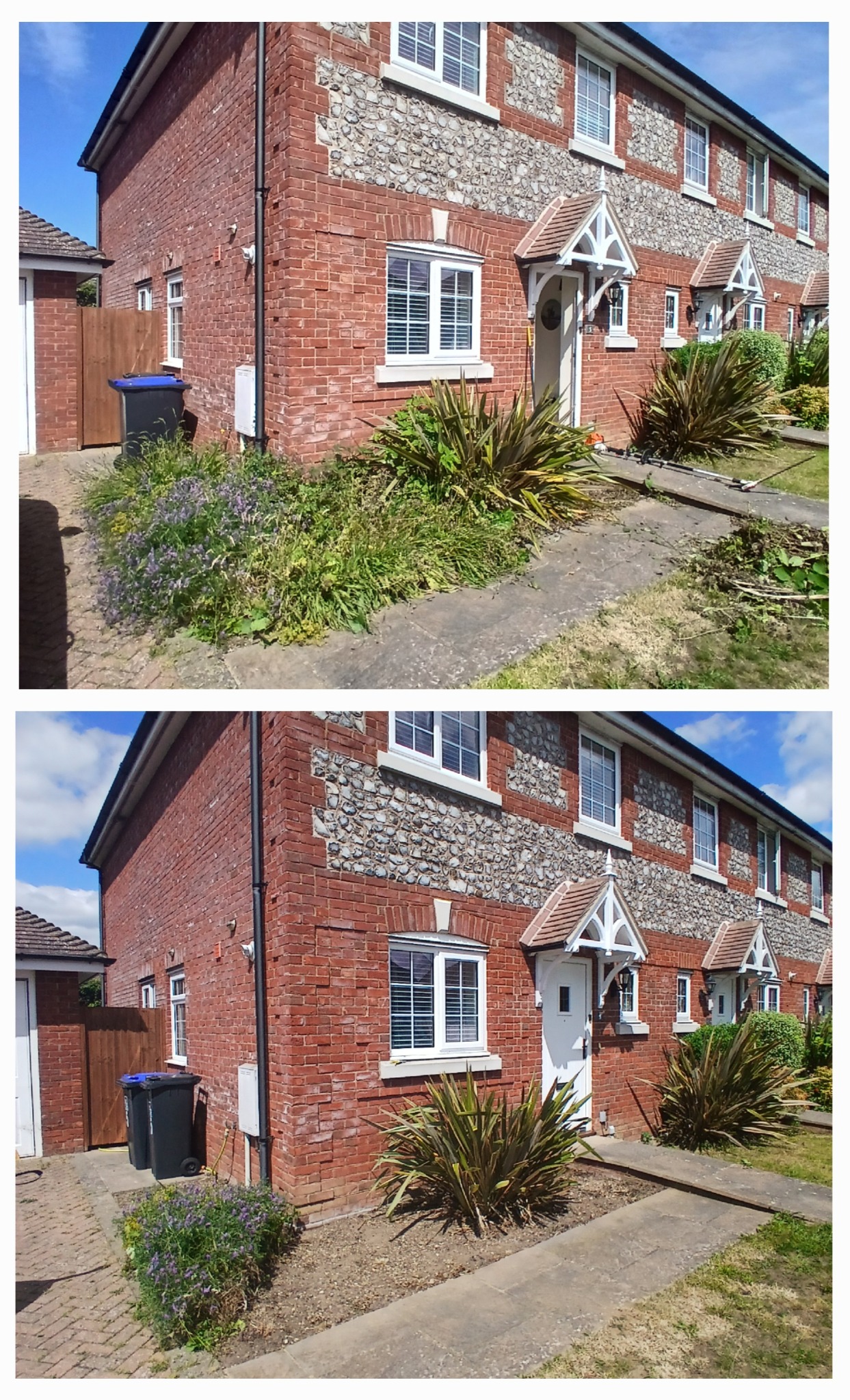 Before and after garden work