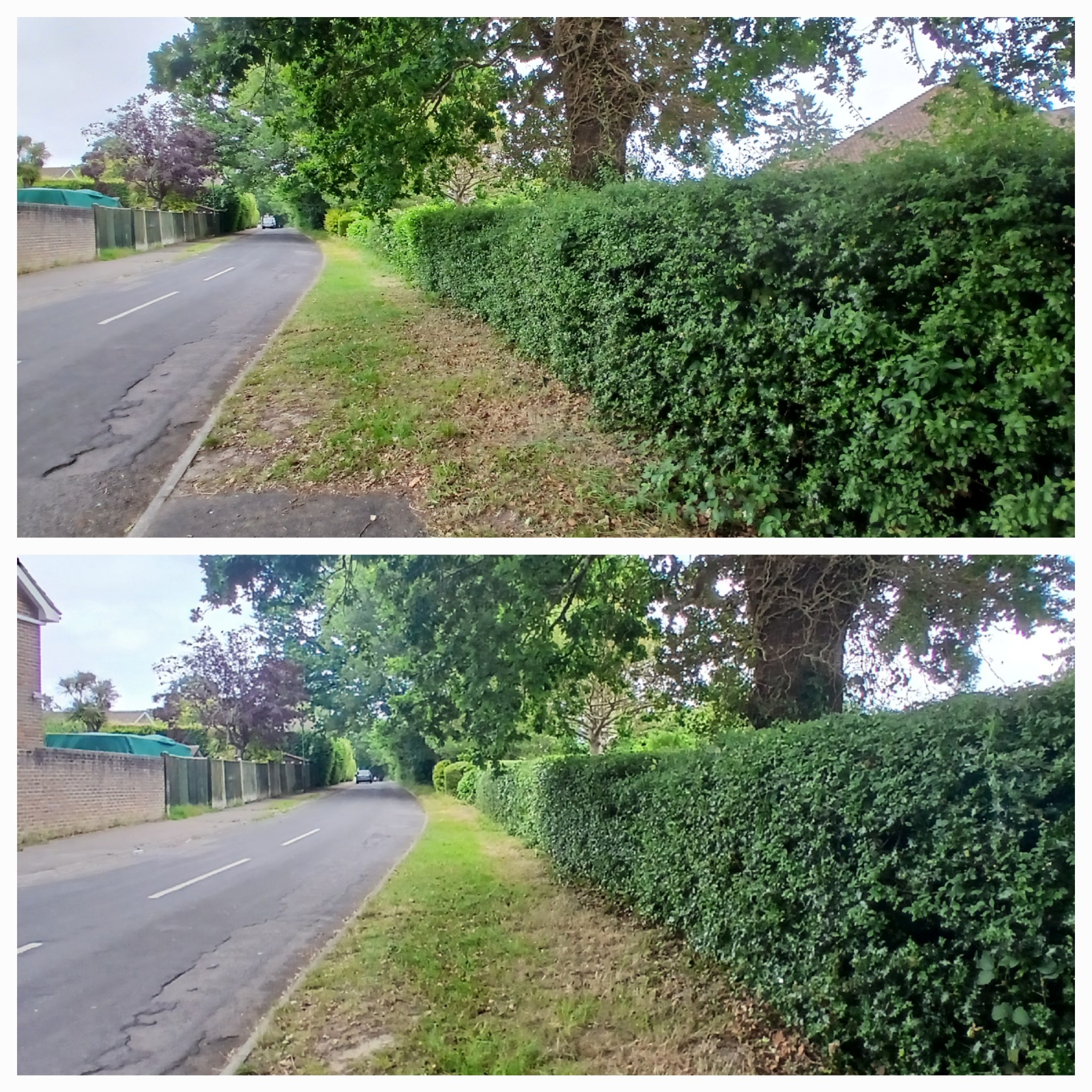 Before and after garden work