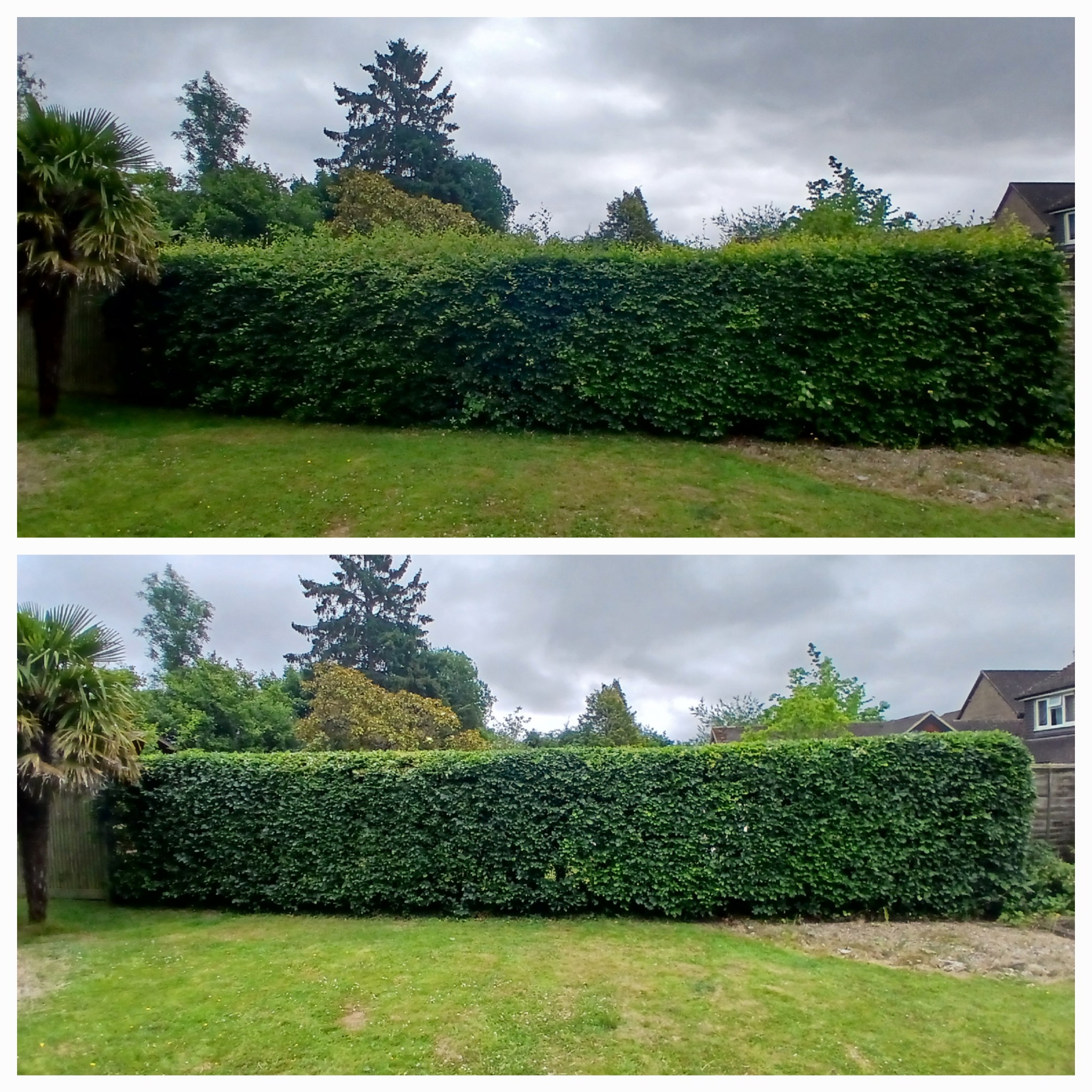 Before and after garden work