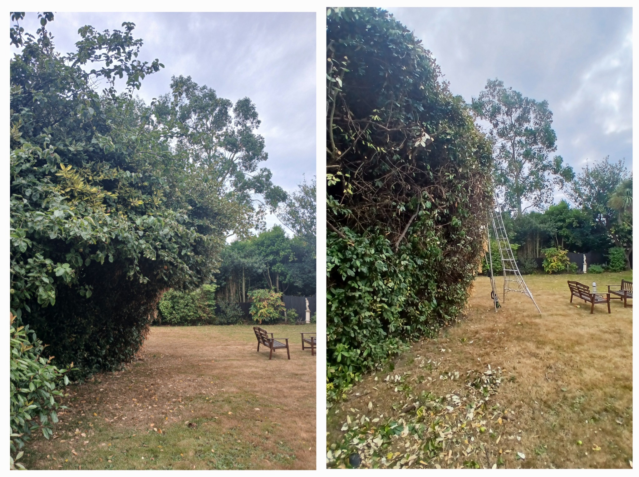 Before and after garden work
