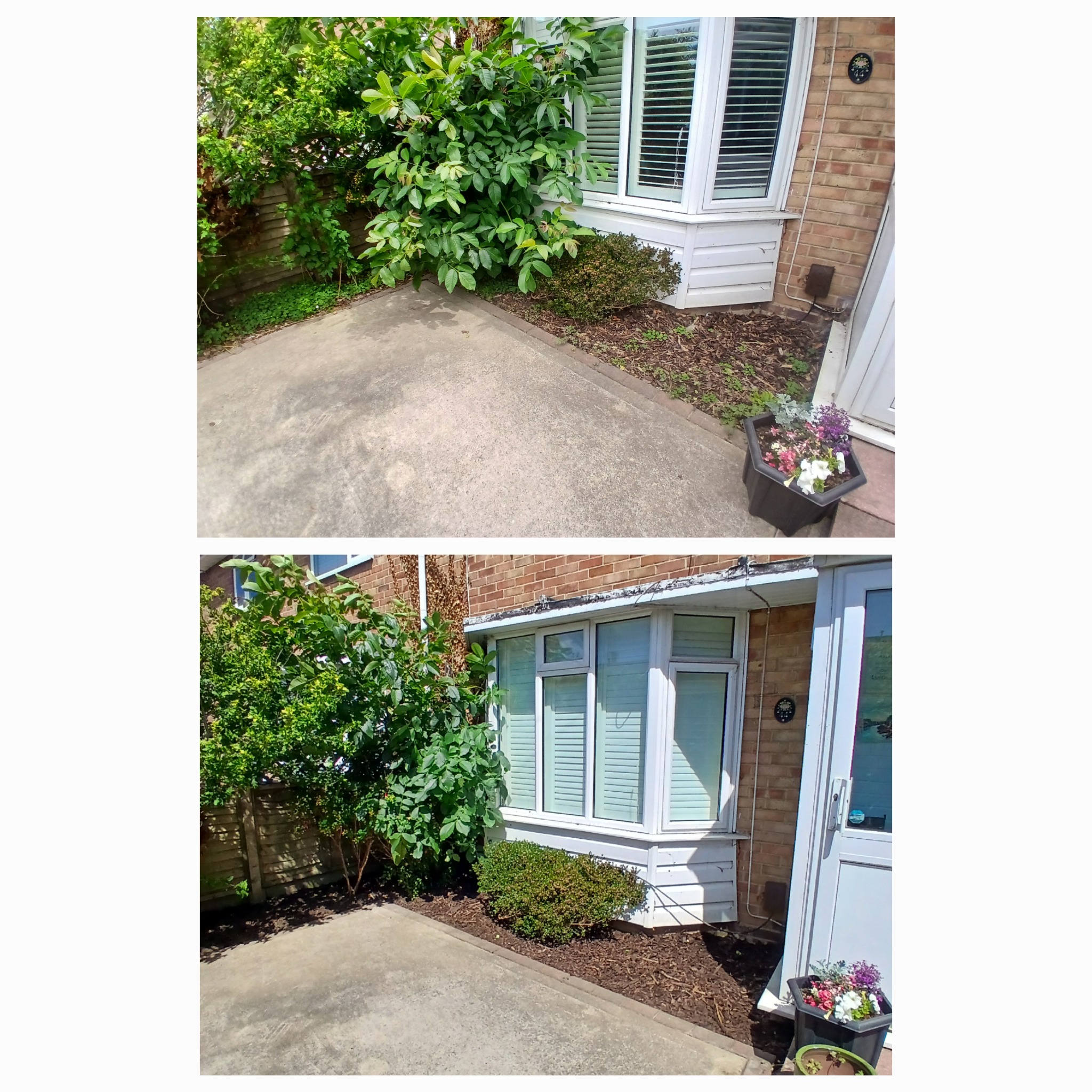 Before and after garden work