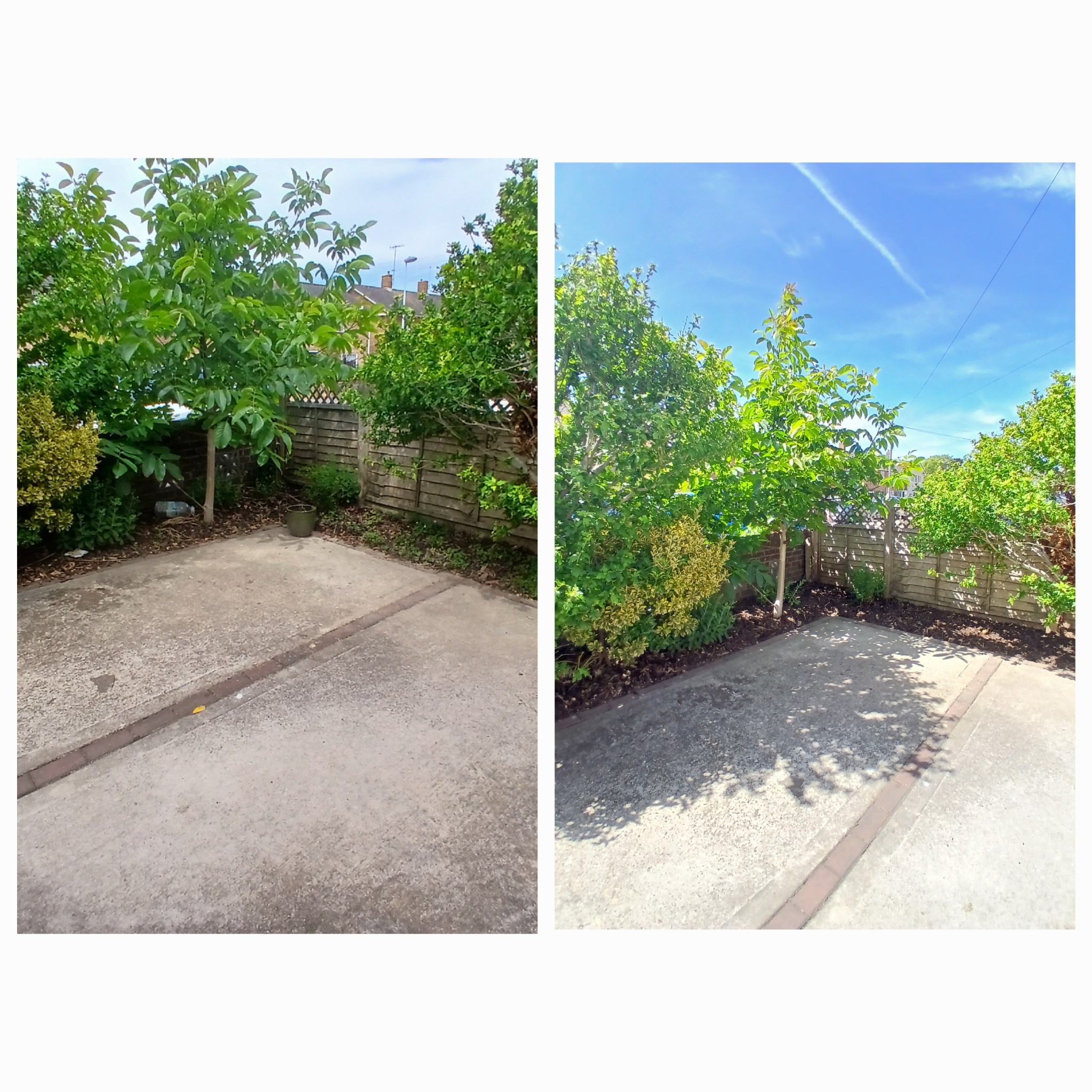 Before and after garden work
